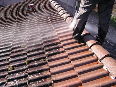 Démoussage de toiture à L'Argentière-la-Bessée